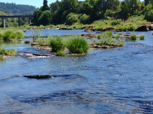 Umpqua River